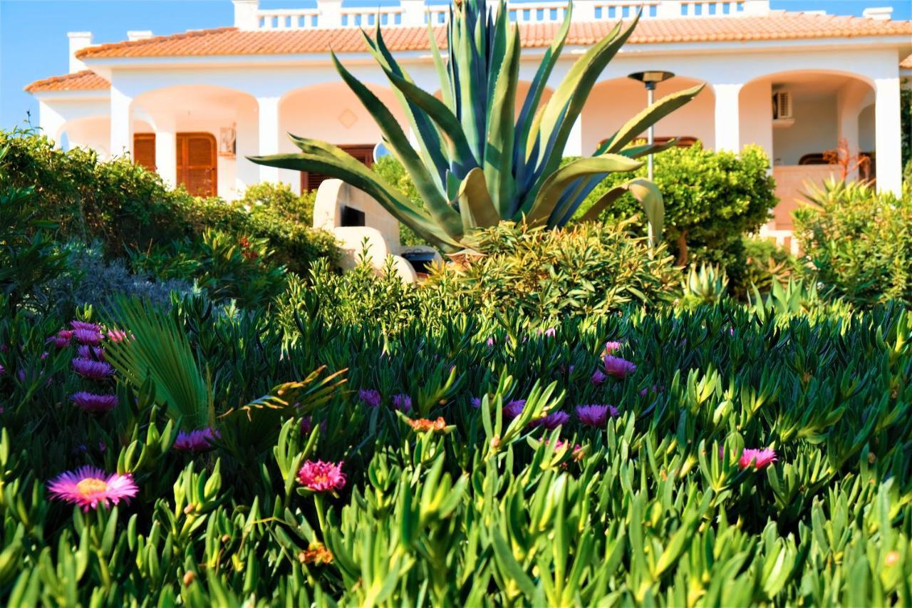 Villa Sette Nani Torre Lapillo Exterior foto